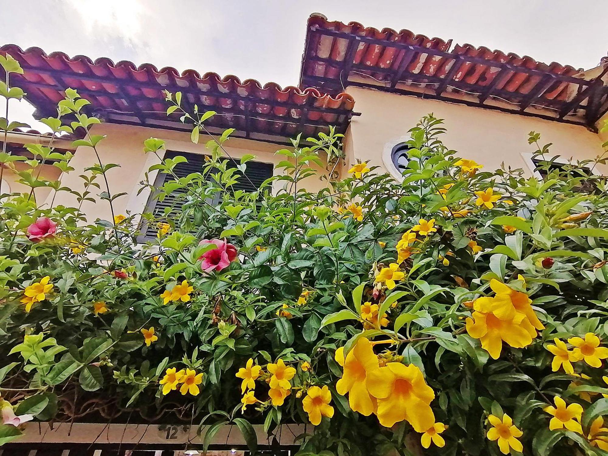 Casa A 500M Da Rua Das Pedras Em Lindo Condominio Com Portaria 24H Búzios Εξωτερικό φωτογραφία